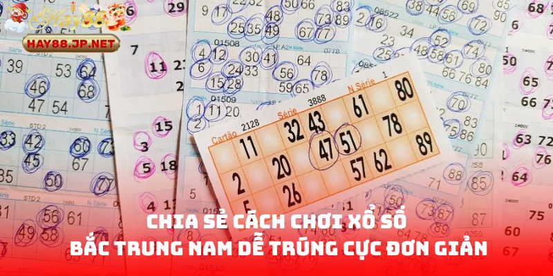 Chia sẻ cách chơi xổ số Bắc Trung Nam dễ trúng cực đơn giản